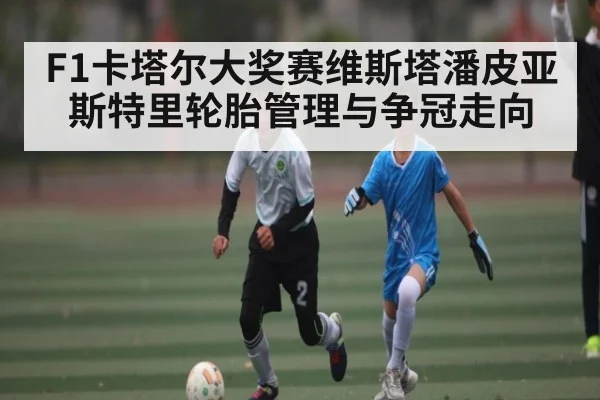 F1卡塔尔大奖赛维斯塔潘皮亚斯特里轮胎管理与争冠走向